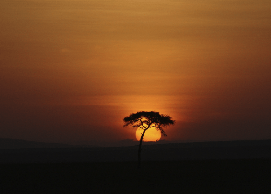 Manuale per il Safari in Africa